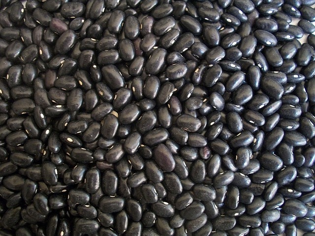 black-beans-g0b2fa9c35_640.jpg